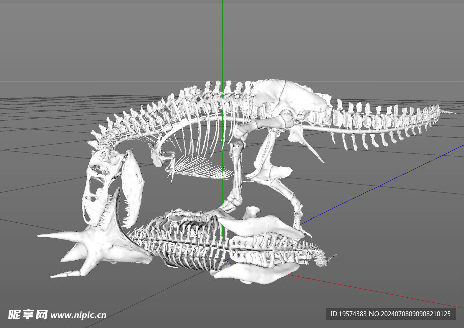 C4D模型 恐龙骨