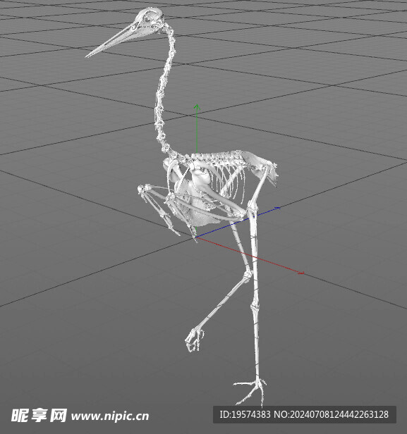 C4D模型 白骨 