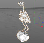 C4D模型 白骨
