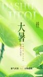 大暑海报
