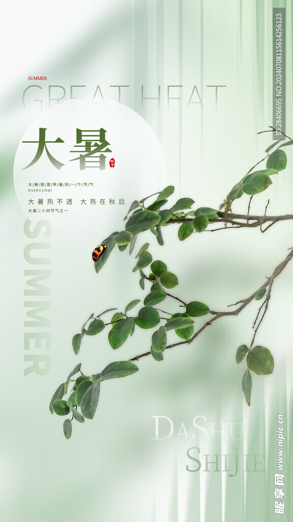 大暑海报