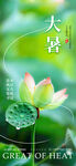 大暑海报