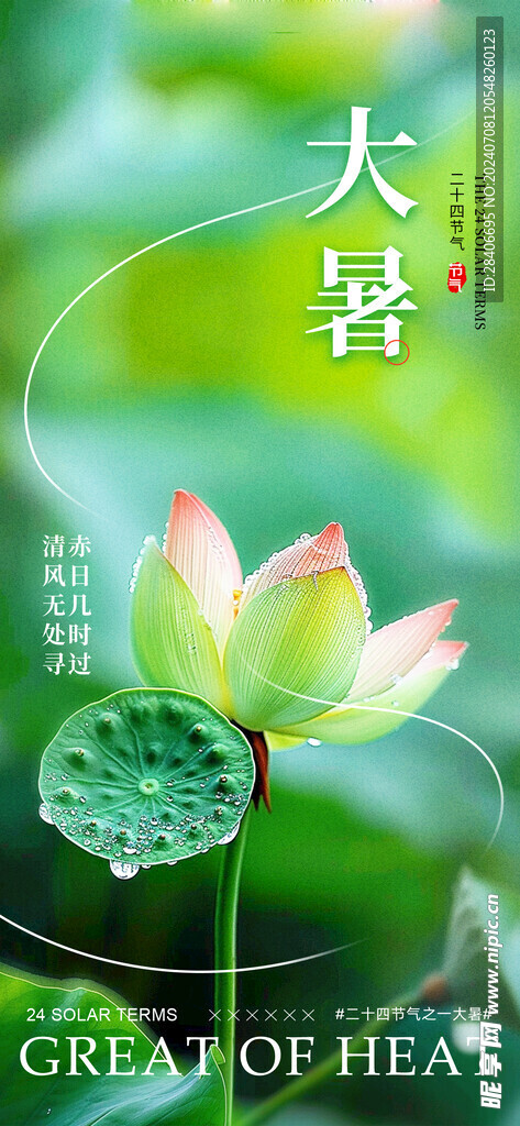 大暑海报