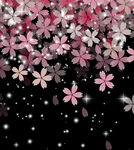 手绘花