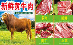 黄牛肉