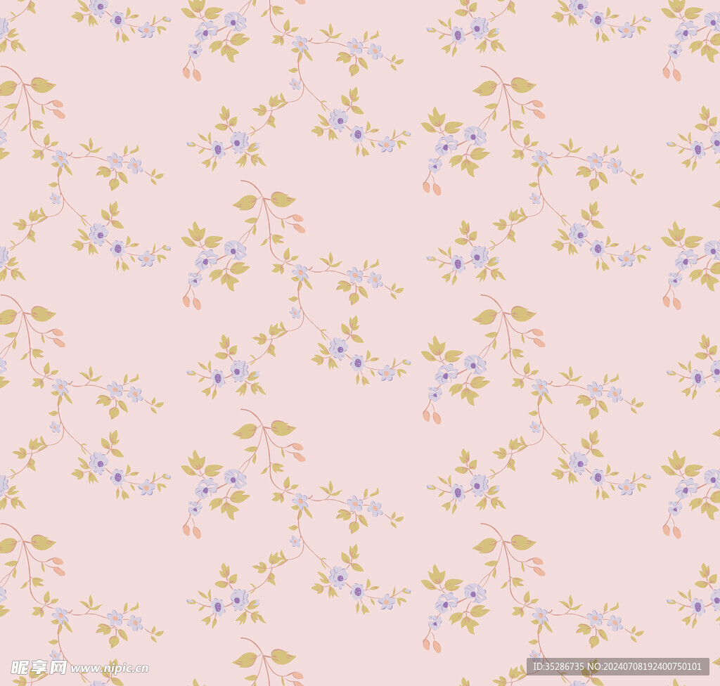 枝条花