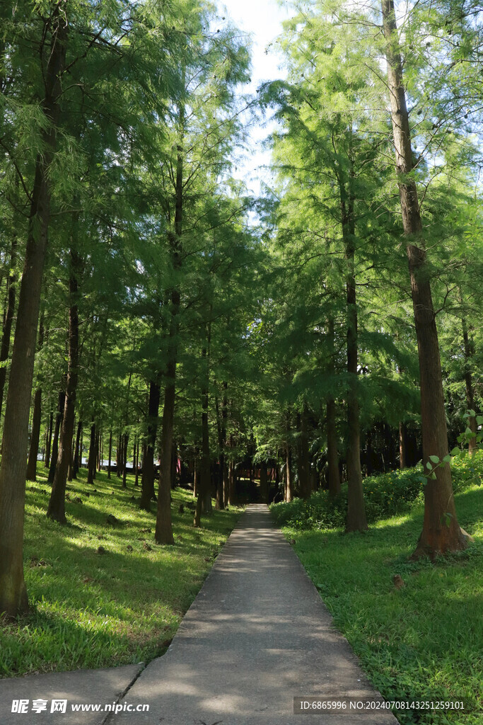 休闲步道