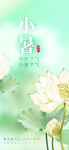小暑海报