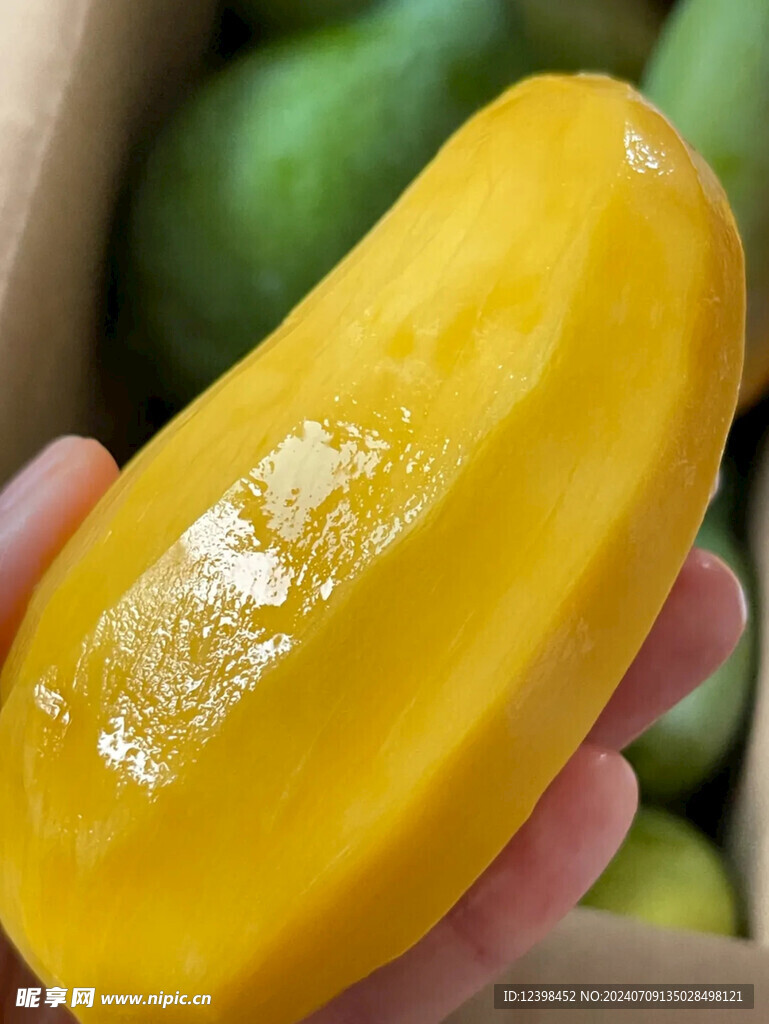 芒果