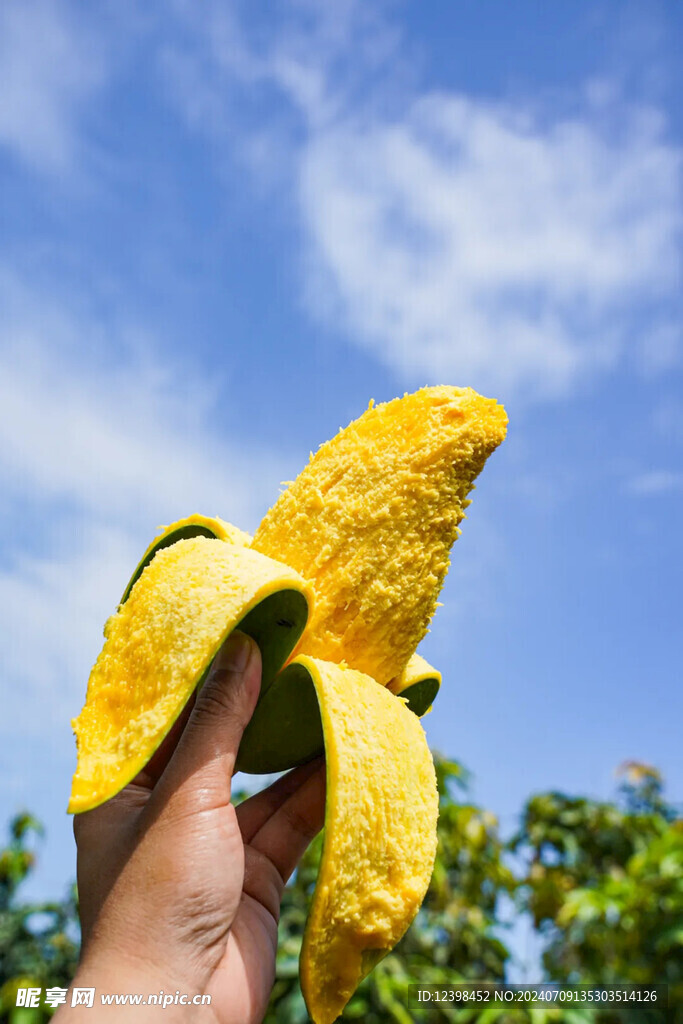 芒果