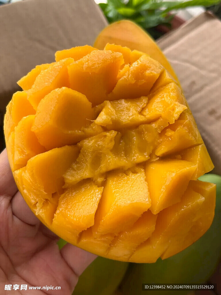 芒果