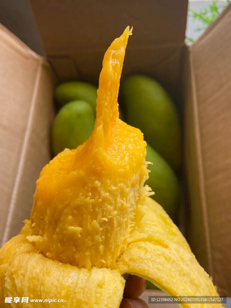 芒果