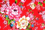 牡丹花背景
