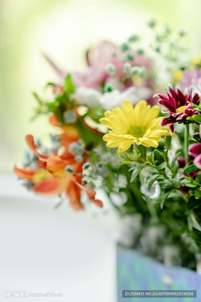 菊花