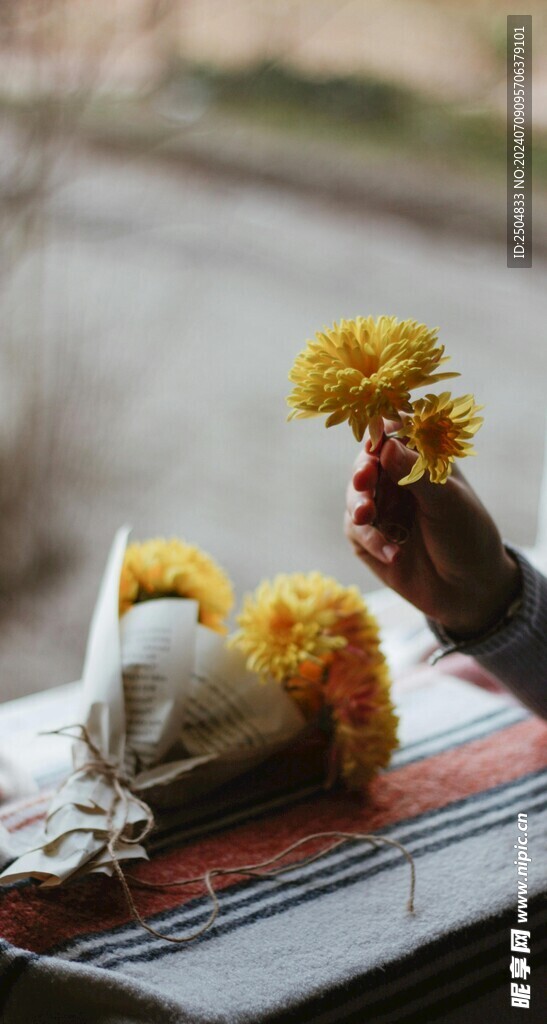 菊花