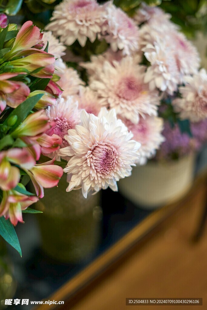菊花