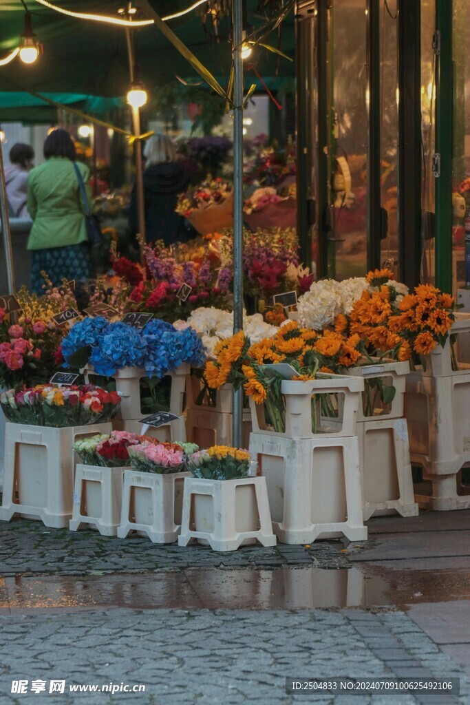 菊花