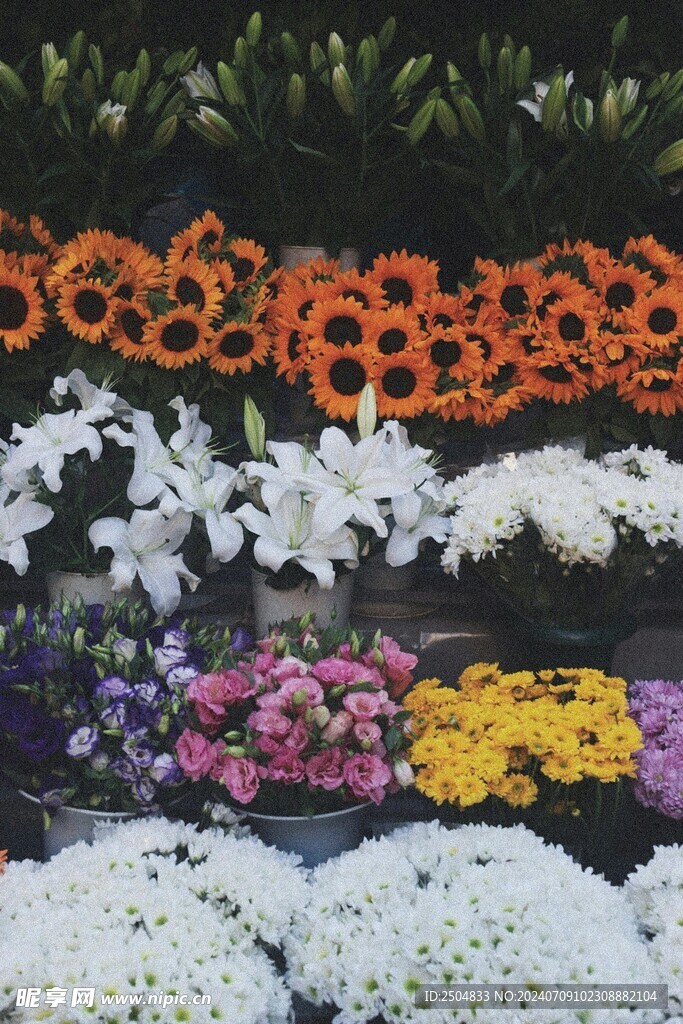 菊花