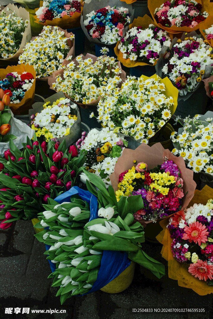 菊花