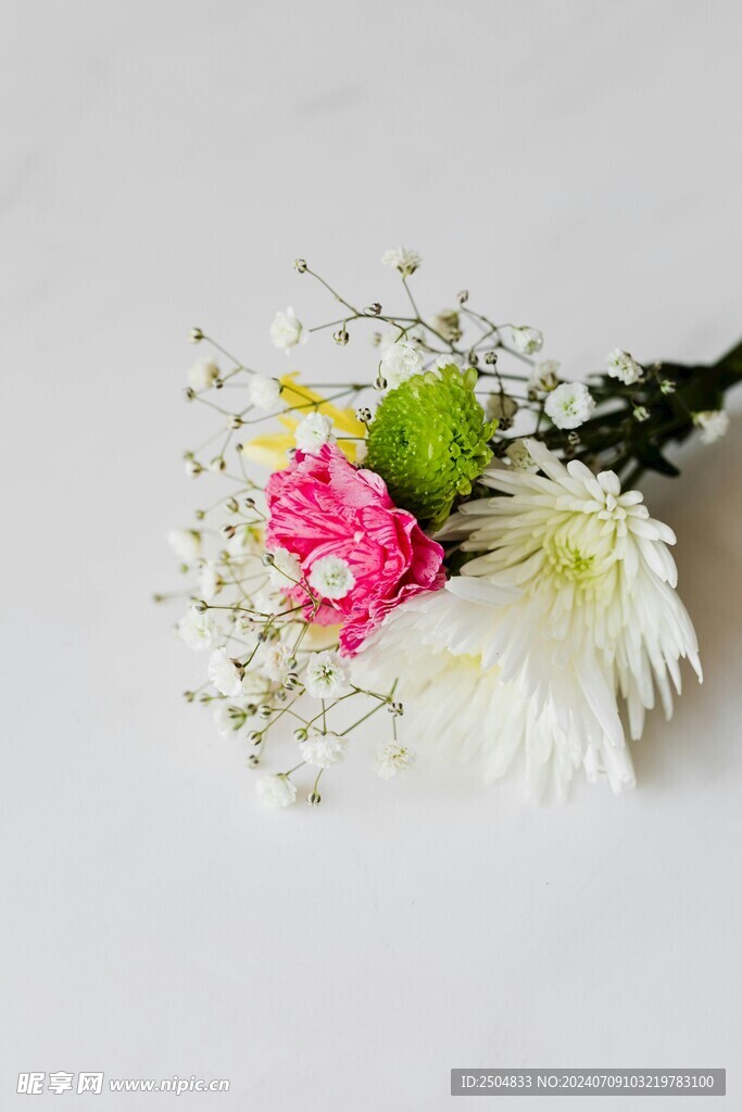 菊花