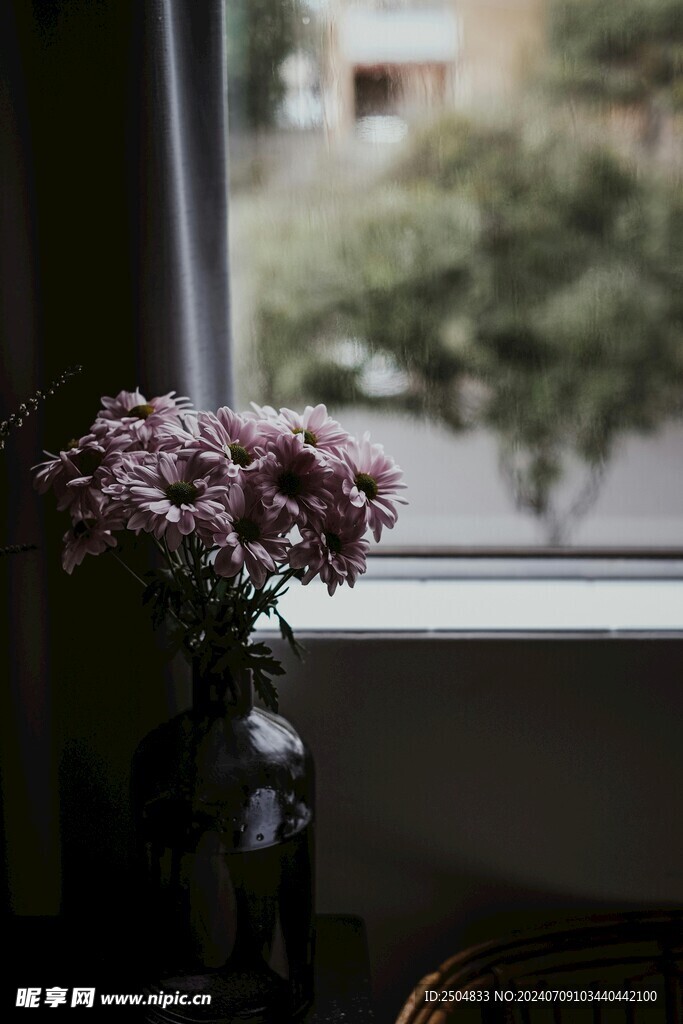 菊花
