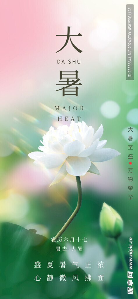 简约意境大暑节气页