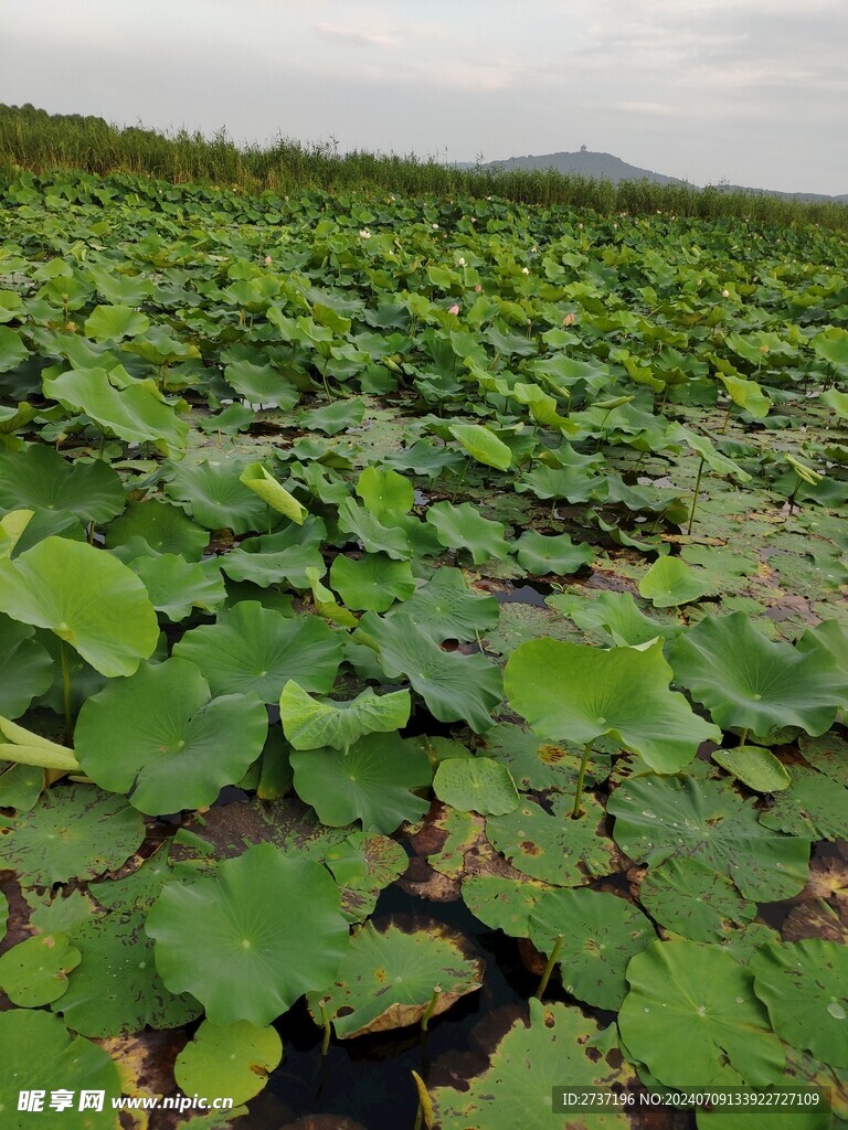 山水风景