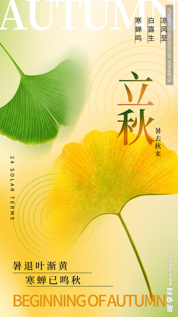 立秋海报