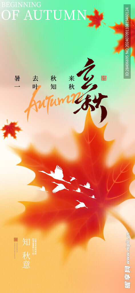 立秋海报