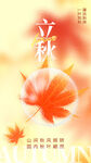 立秋海报