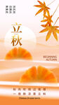 立秋海报