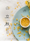 立秋海报