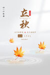 立秋海报