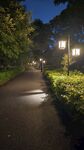 会昌林岗公园漫步河边夜景