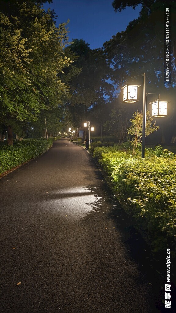 会昌林岗公园漫步河边夜景