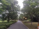 会昌林岗公园河边漫步