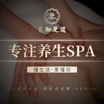 SPA设计 