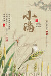 小满