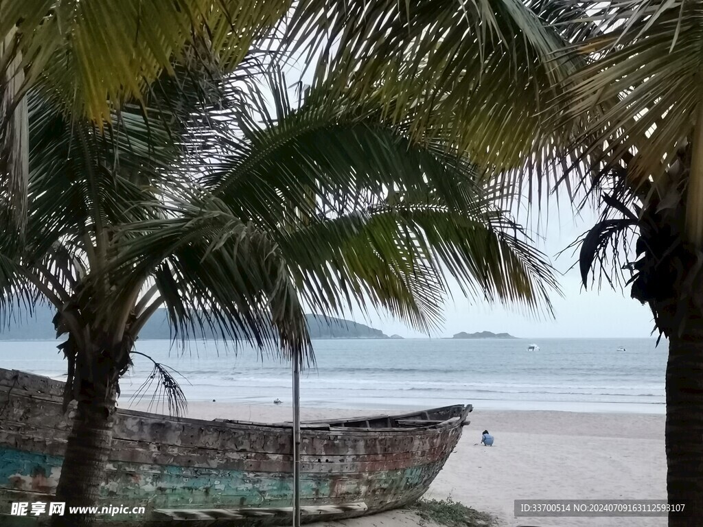 海边椰树下的小船