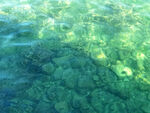 水纹