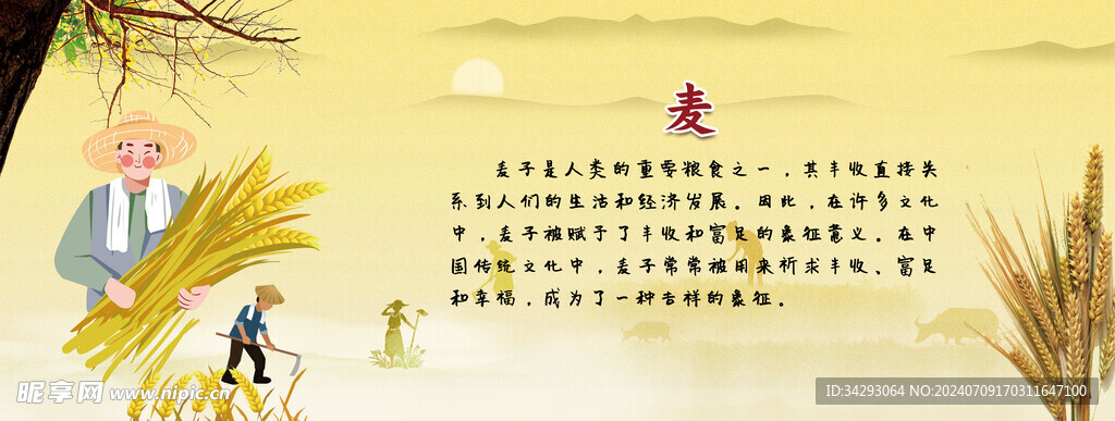 麦子画报