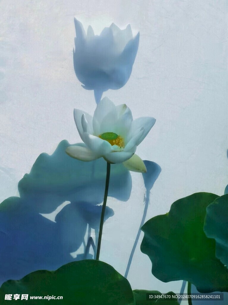 莲华