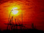 夕阳