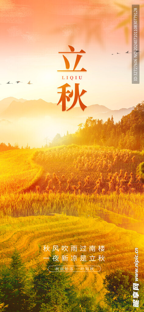 立秋
