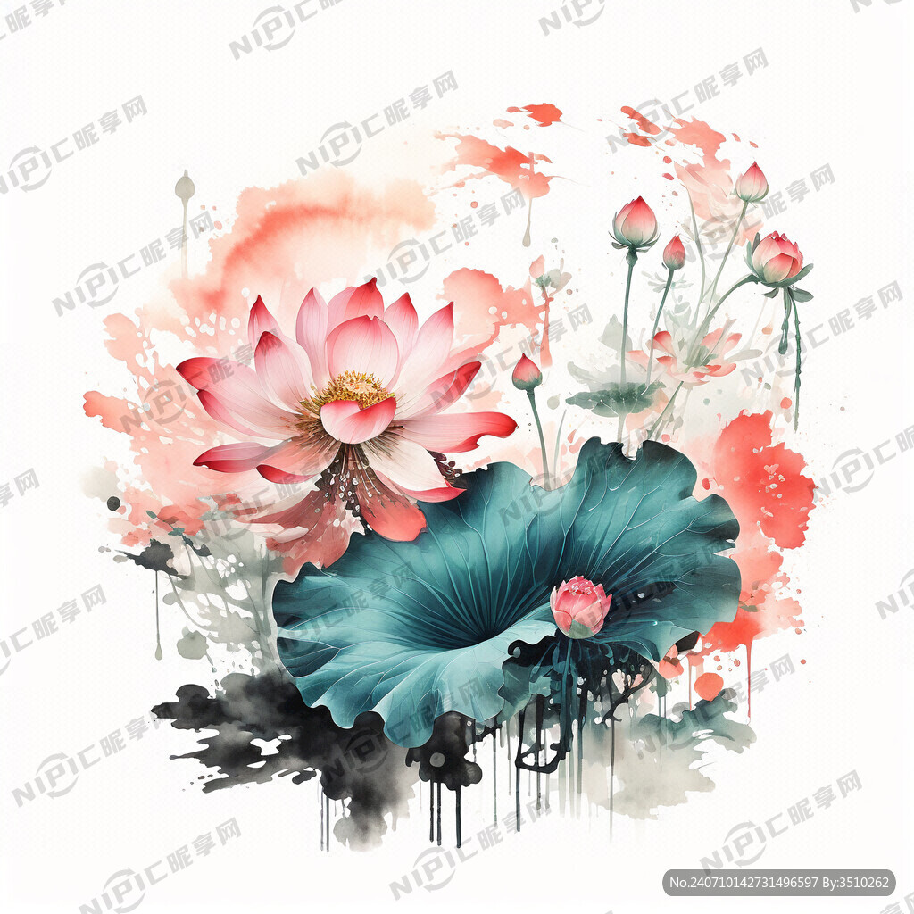 荷花