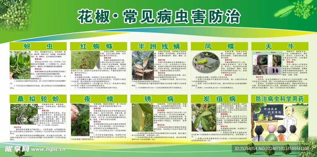 花椒宣传栏