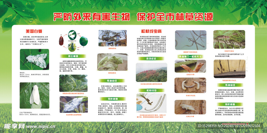 严防外来有害生物  