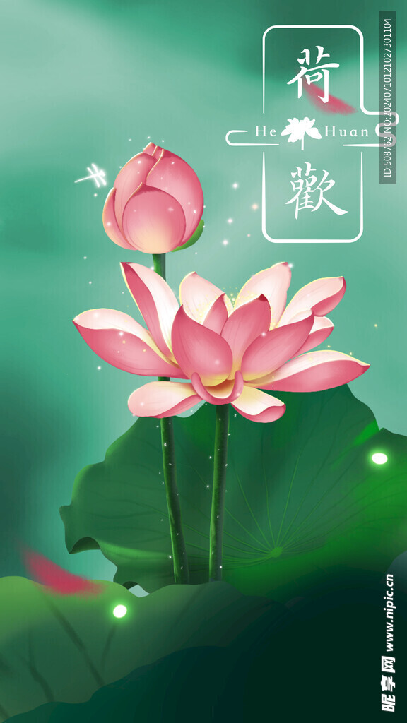 荷花