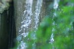 水珠