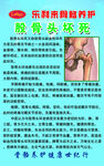 乐利来 股骨头坏死骨络养护 